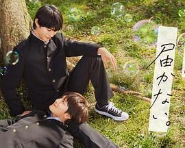 九江推广网站优化排名